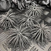 BLACK Tickle On Top - Pack of 6 Sensory Squishy Toppers