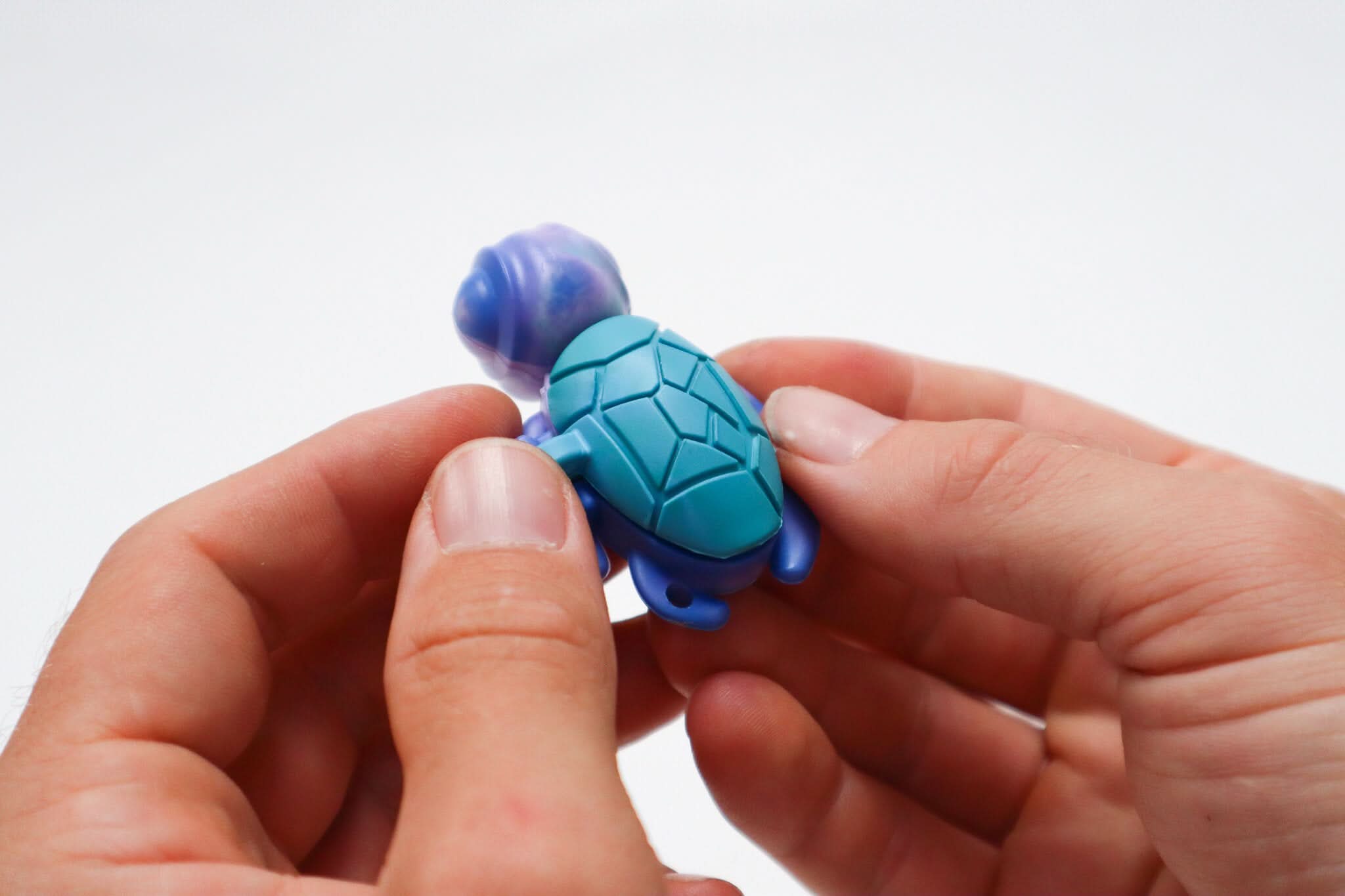 Current Tool Turtle Calm Buddi Turtle Harm Minimisation Tool on Custom Kaiko Keyring — My ...
