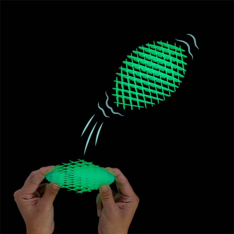 Flexi Worm Glow in the Dark Fidget