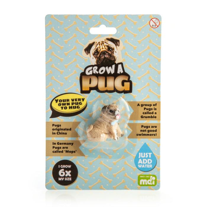 Grow-a Pug