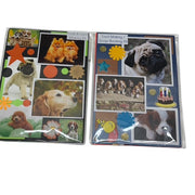 Nana's Card Making & Craft Kits