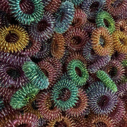 OIL SLICK TIGHTER Finger Spikey by Kaiko - World Exclusive