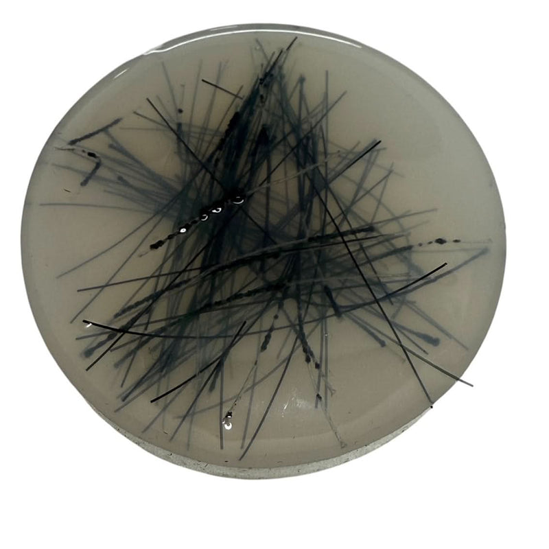 Pick 'Em Starter Set - Kaiko Exclusive Picking, Popping & Hair Pulling Support Kit