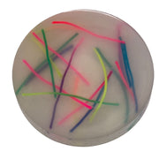 Thread Pick ‘Em Stack - pack of 3 refill thread discs