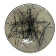 Thread Pick ‘Em Stack - pack of 3 refill thread discs