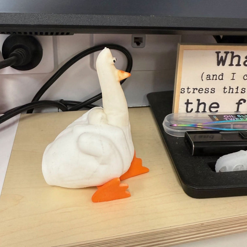 Duck You! Hilarious Squishy