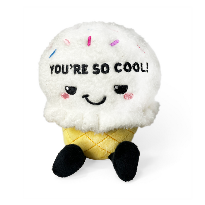 "You're so Cool!" Icecream Cone