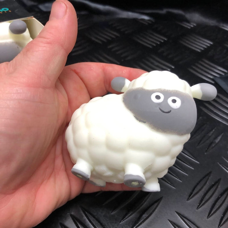 Baa Baa the Squishy Sheep