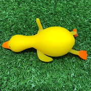 Flappy the Squishy Duck