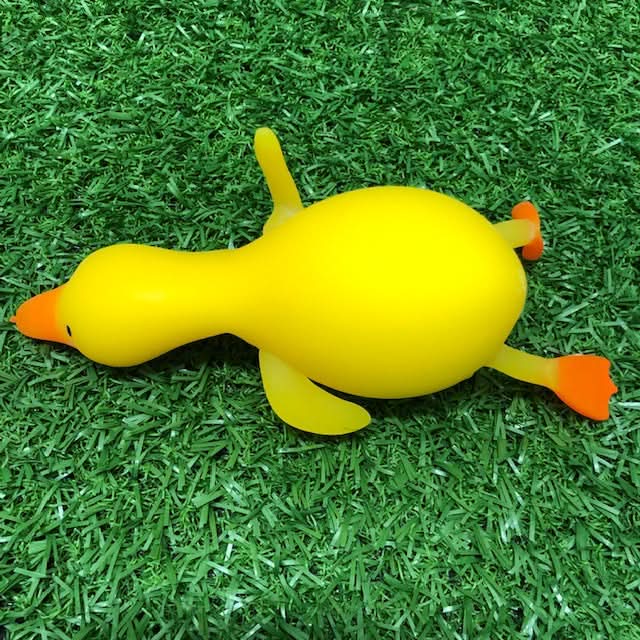 Flappy the Squishy Duck