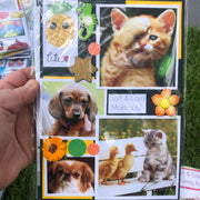 Nana's Card Making & Craft Kits