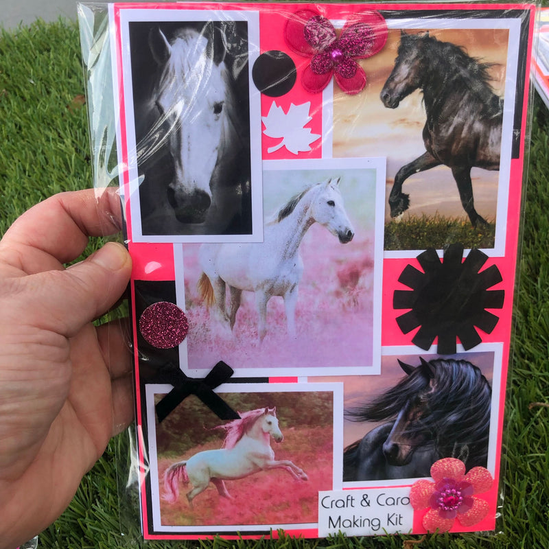 Nana's Card Making & Craft Kits