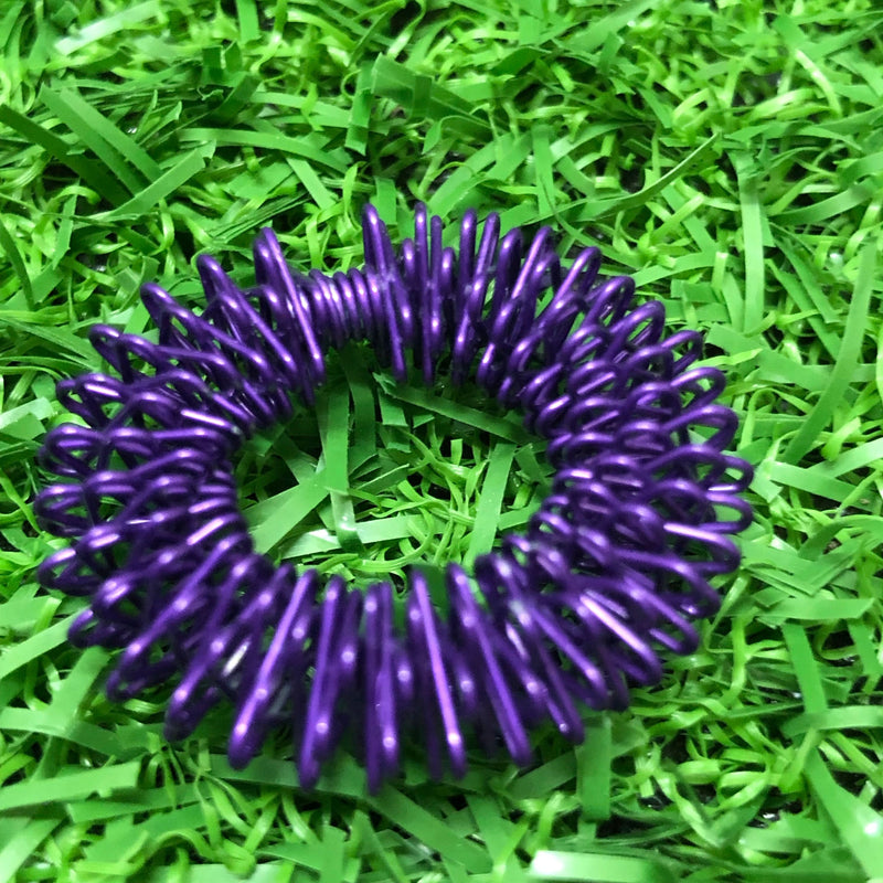 Nuts About You Fidget Set