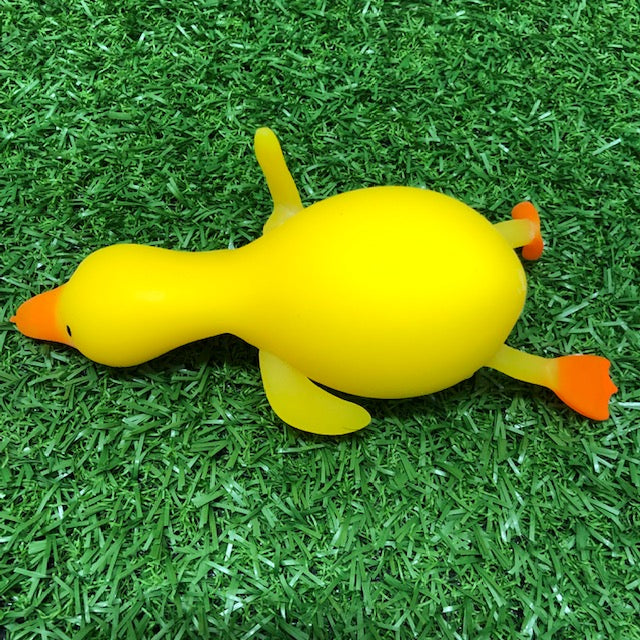 Flappy the Squishy Duck